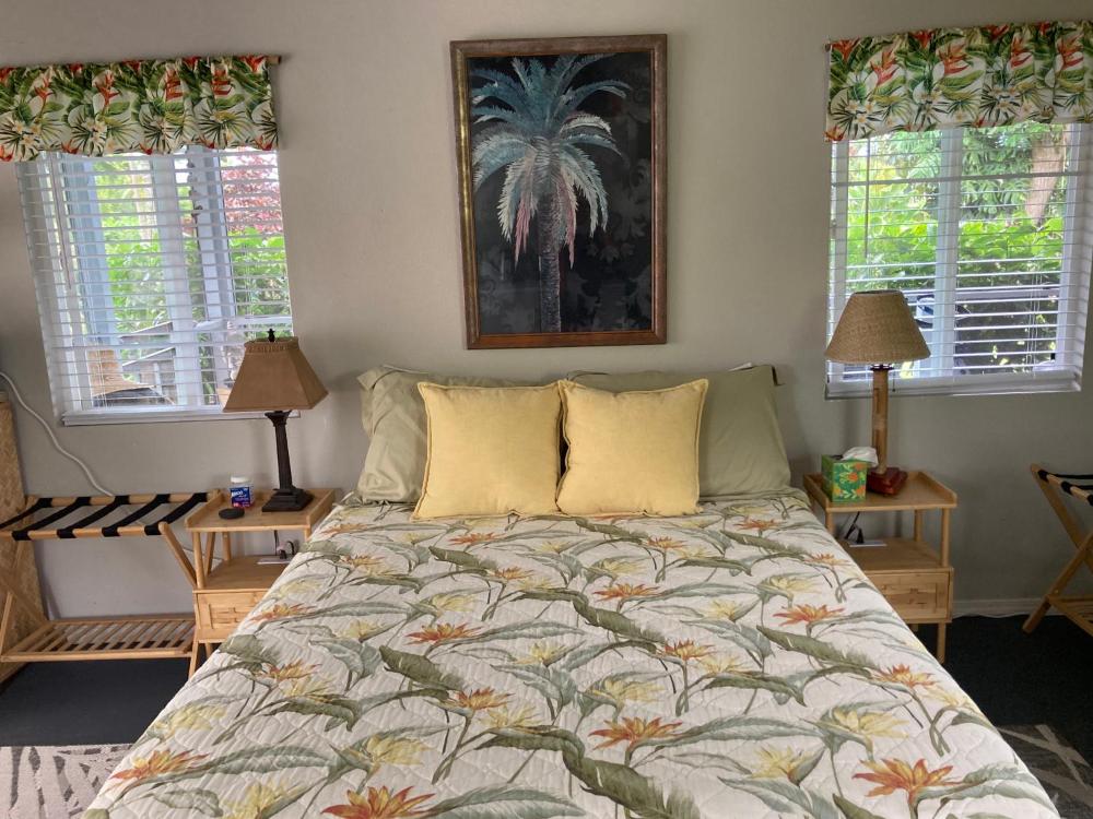 Comfort Nest